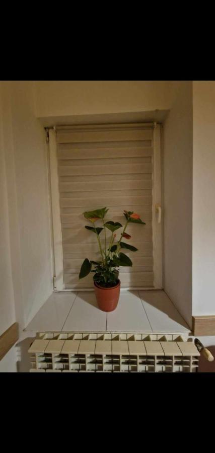 קלוז'-נאפוקה Ap Central Traian Mosoiu 2 Parcare Proprie מראה חיצוני תמונה